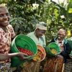 Wat is Fairtrade